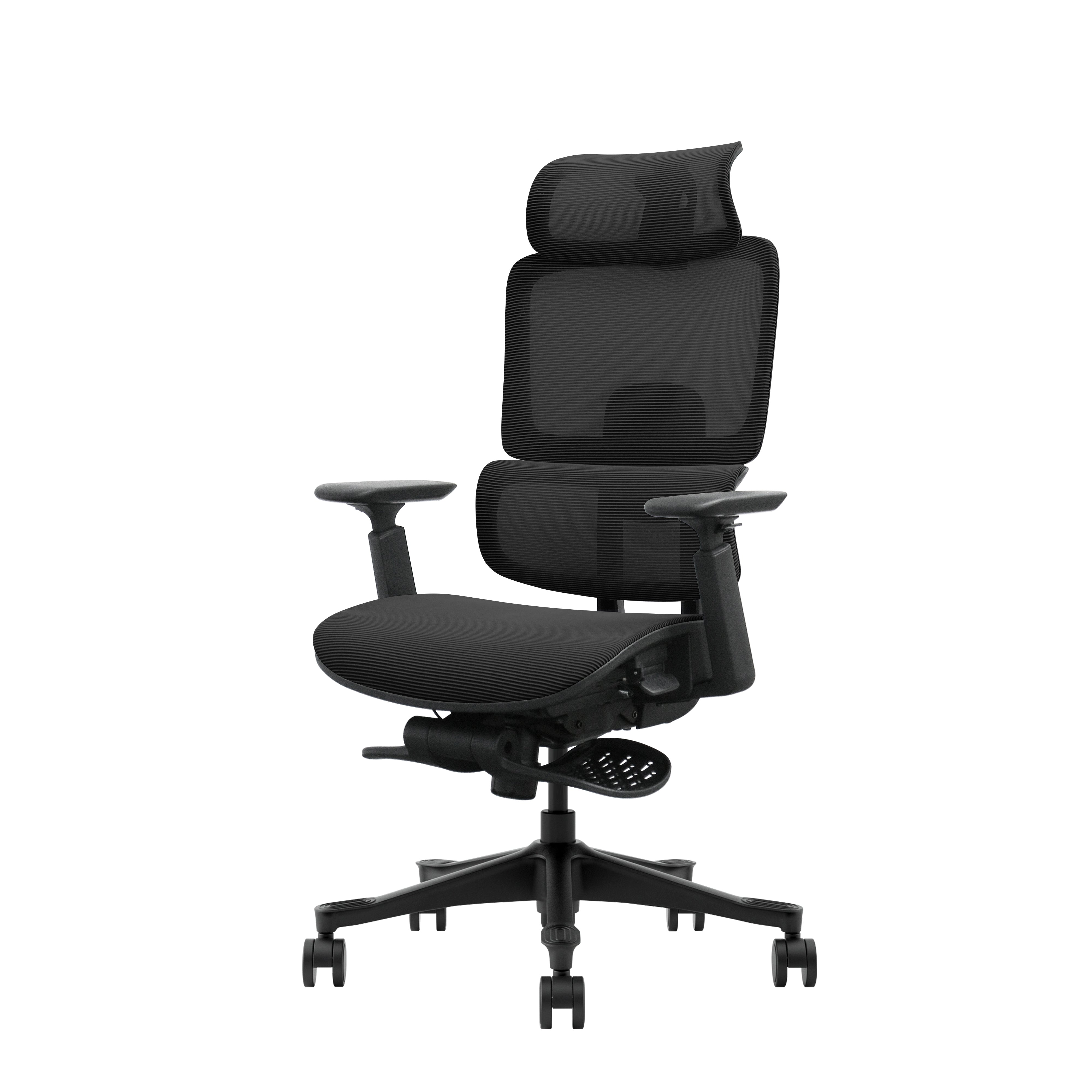 Ergonominė biuro kėdė ErgoPrime