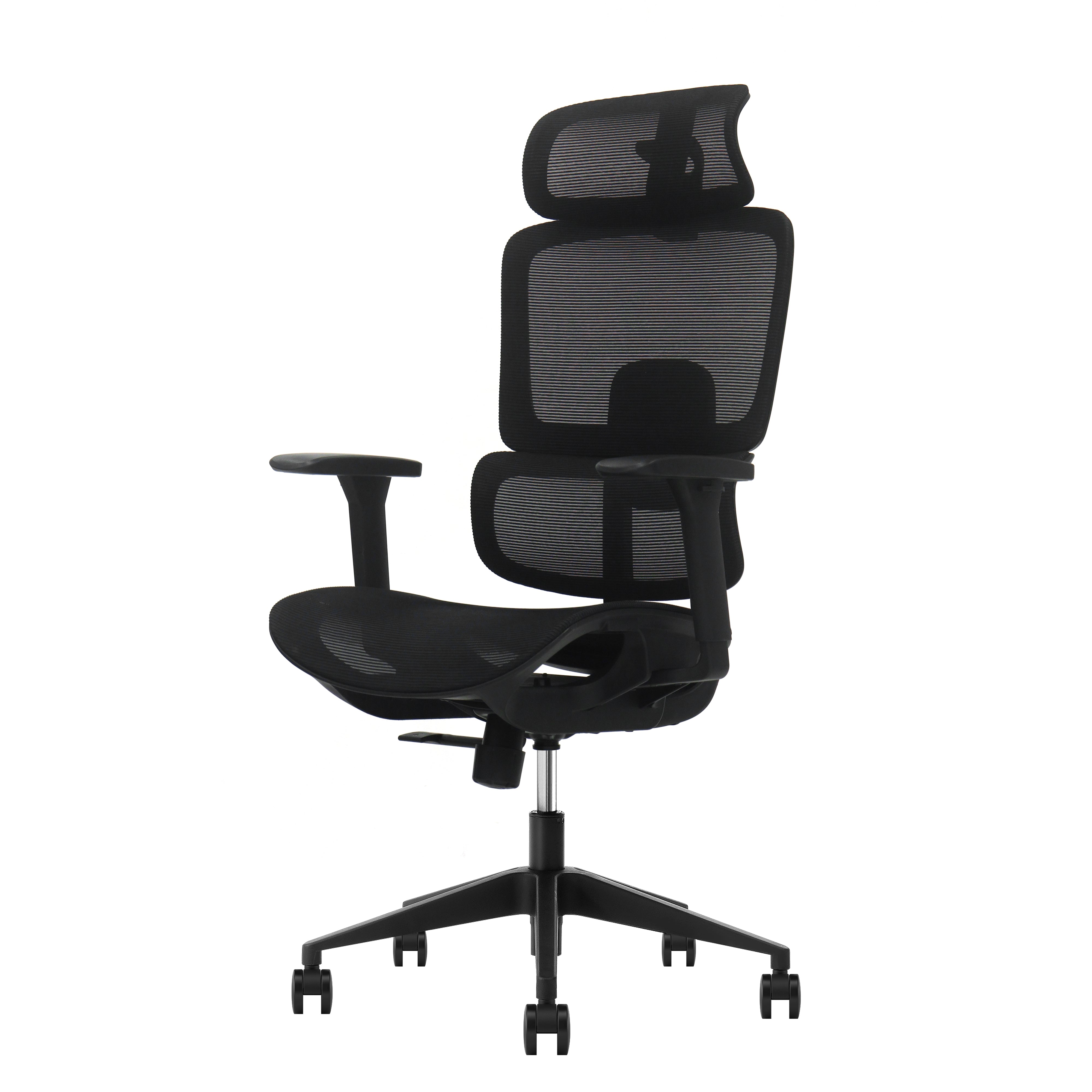 Ergonominė biuro kėdė ErgoCore